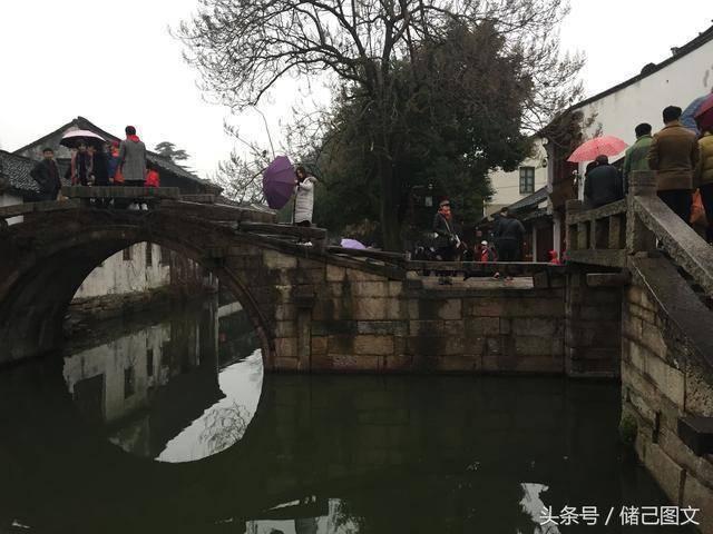 雨后盛放